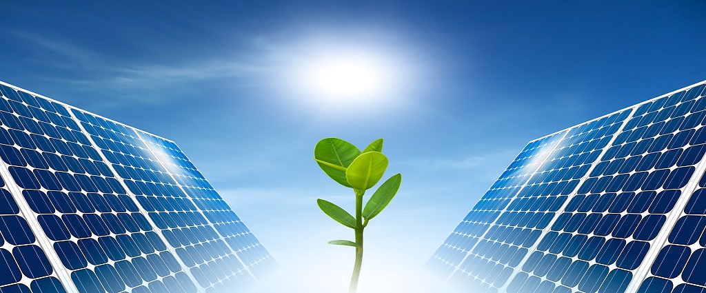 Harness the Power of Sun with Briscon