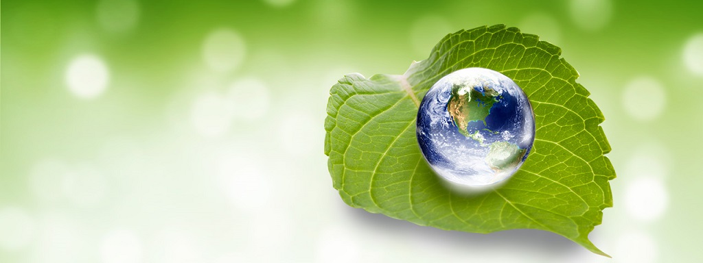 Your Green Energy Partners